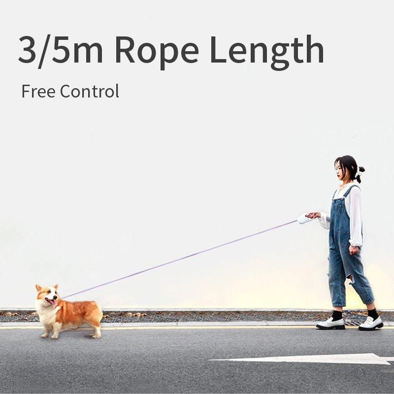 Automatic Retractable Lighting Dog Leash with LED Light & RGB Ring